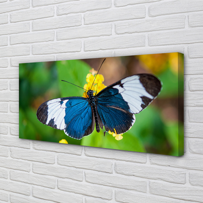 Pintura em tela Borboleta colorida em flores