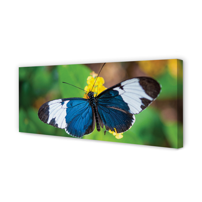 Pintura em tela Borboleta colorida em flores