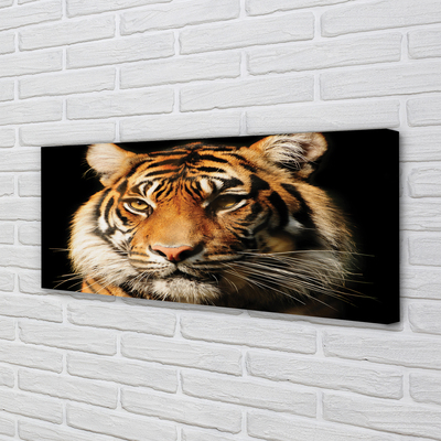 Quadro em tela Tigre