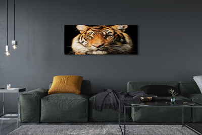 Quadro em tela Tigre