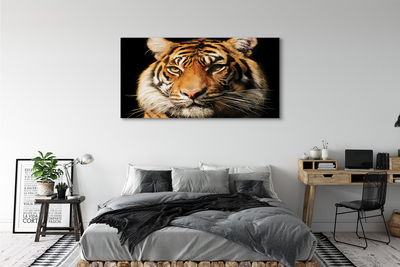 Quadro em tela Tigre