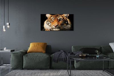 Quadro em tela Tigre
