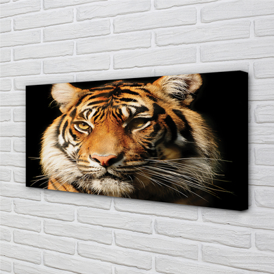 Quadro em tela Tigre