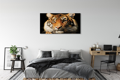 Quadro em tela Tigre