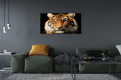 Quadro em tela Tigre