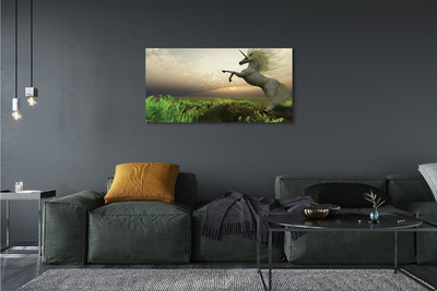 Pintura em tela Campo de unicórnios