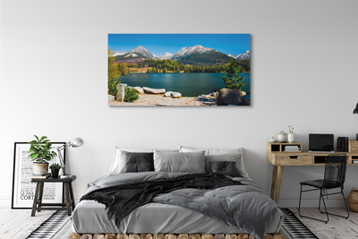 Pintura em tela Lago de montanha