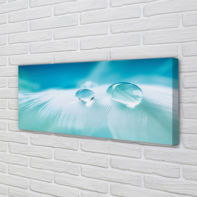 Quadro em tela Macro gotas de água