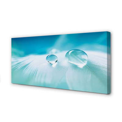 Quadro em tela Macro gotas de água