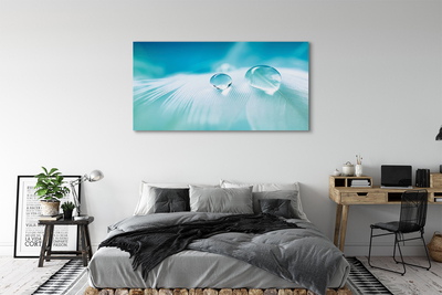 Quadro em tela Macro gotas de água