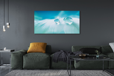 Quadro em tela Macro gotas de água