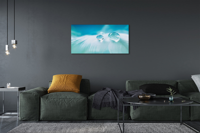 Quadro em tela Macro gotas de água