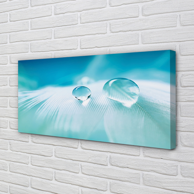 Quadro em tela Macro gotas de água