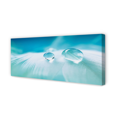 Quadro em tela Macro gotas de água