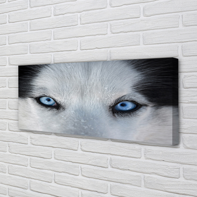 Pintura em tela Olhos de lobo