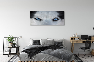 Pintura em tela Olhos de lobo