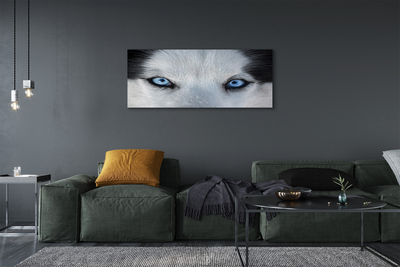 Pintura em tela Olhos de lobo