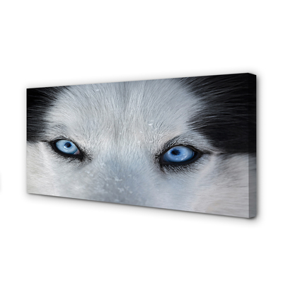 Pintura em tela Olhos de lobo