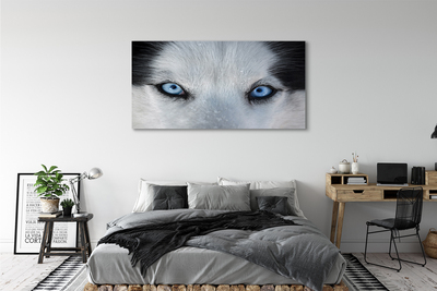Pintura em tela Olhos de lobo