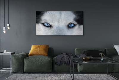 Pintura em tela Olhos de lobo