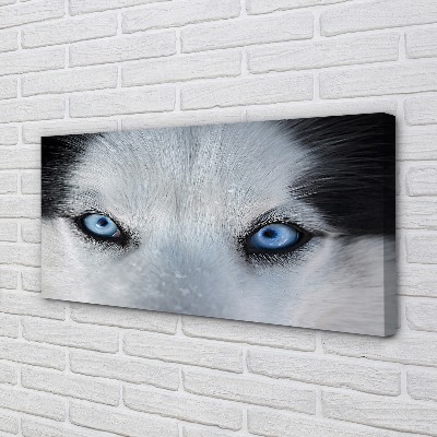 Pintura em tela Olhos de lobo