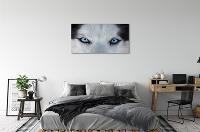 Pintura em tela Olhos de lobo