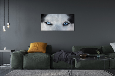 Pintura em tela Olhos de lobo