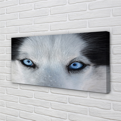 Pintura em tela Olhos de lobo