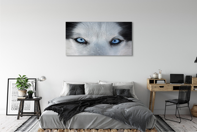 Pintura em tela Olhos de lobo