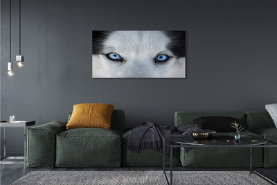 Pintura em tela Olhos de lobo