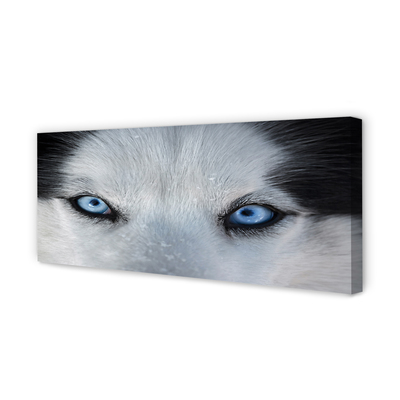 Pintura em tela Olhos de lobo