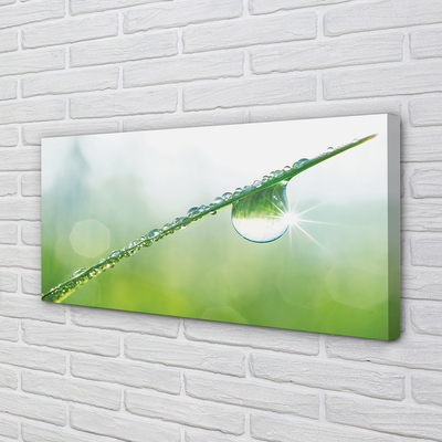 Pintura em tela Macro de queda de grama