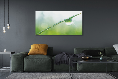 Pintura em tela Macro de queda de grama