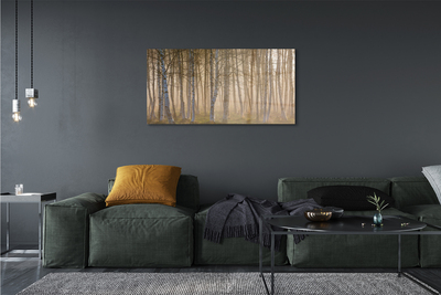 Pintura em tela Árvores da floresta ao nascer do sol