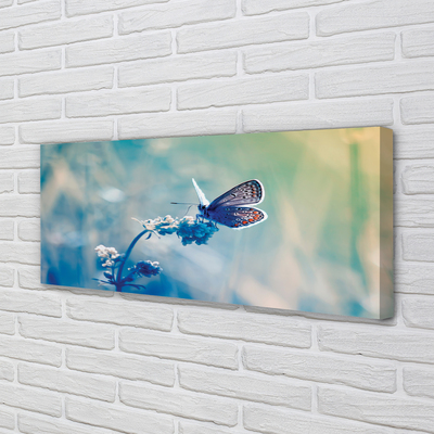 Quadro em tela Borboleta colorida