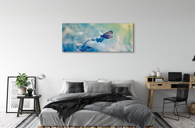 Quadro em tela Borboleta colorida