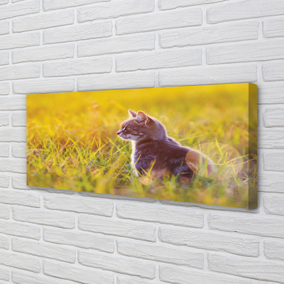 Quadro em tela Gato de caça