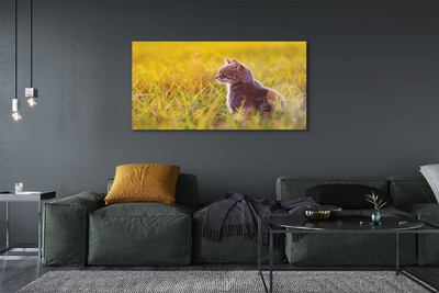 Quadro em tela Gato de caça