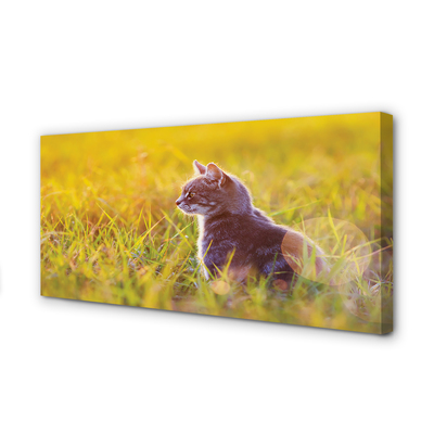 Quadro em tela Gato de caça