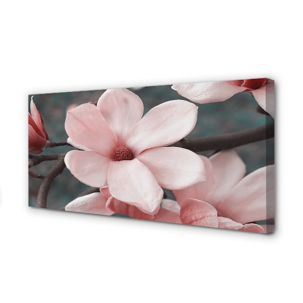 Quadro em tela flores cor de rosa