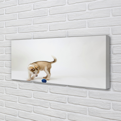 Quadro em tela Um cachorro brincando