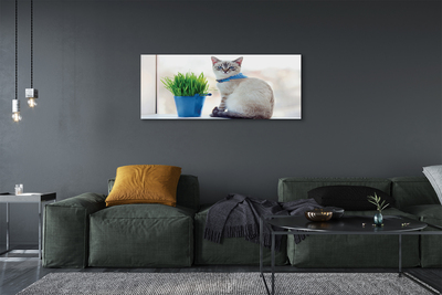 Quadro em tela Gato sentado