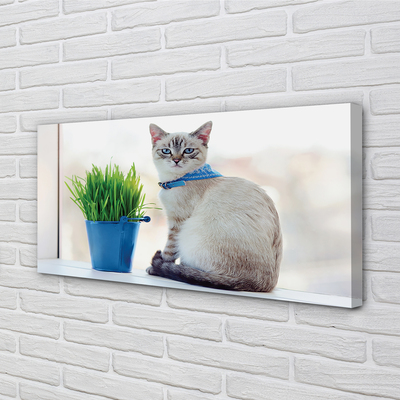 Quadro em tela Gato sentado