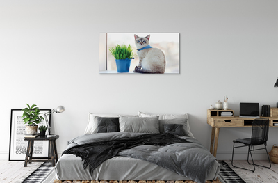 Quadro em tela Gato sentado