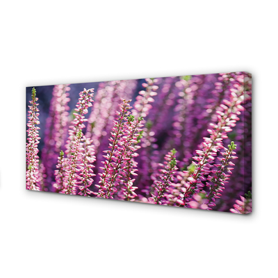 Pintura em tela Flores