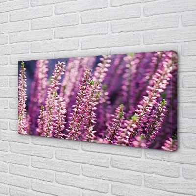 Pintura em tela Flores