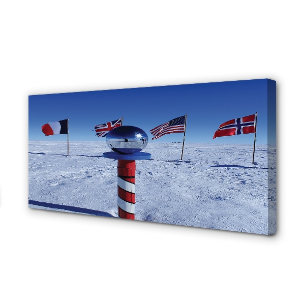 Quadro em tela bandeira brasileira