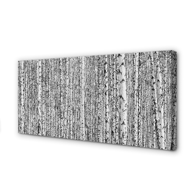 Pintura em tela Árvores florestais em preto e branco