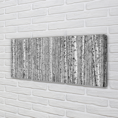 Pintura em tela Árvores florestais em preto e branco