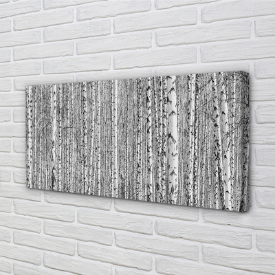 Pintura em tela Árvores florestais em preto e branco